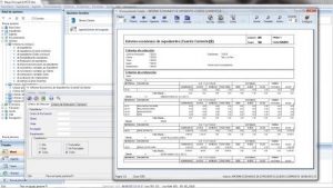 abogados informes económicos