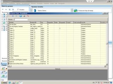 Creación de campos en DB